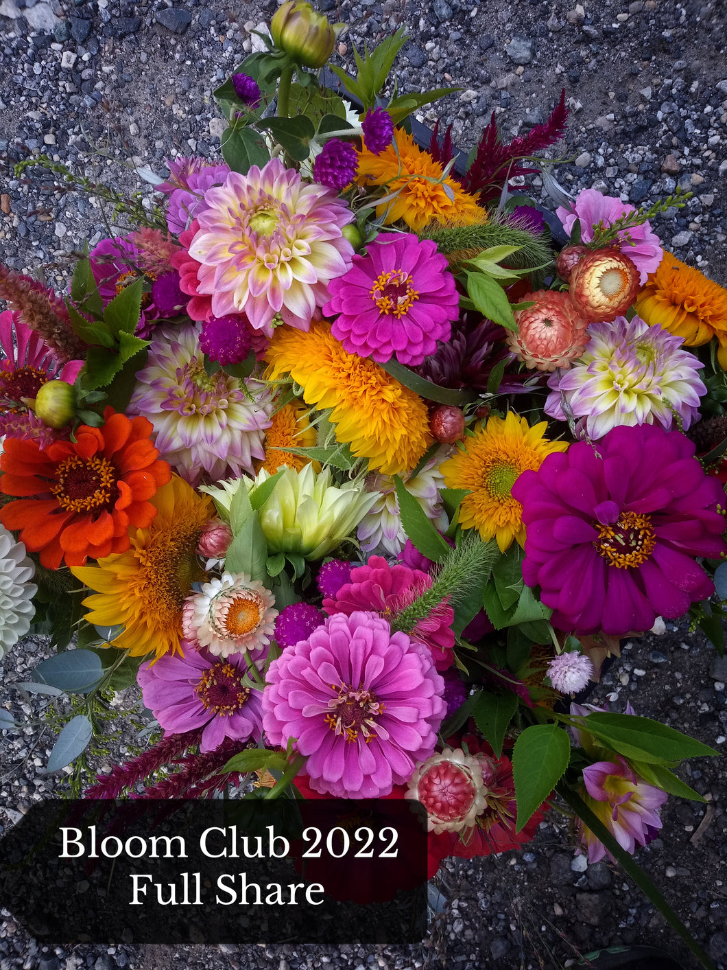 Bloom Club Full Share